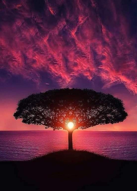 Beautiful Red Sunset