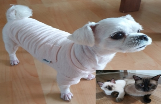 ㅋㅋ