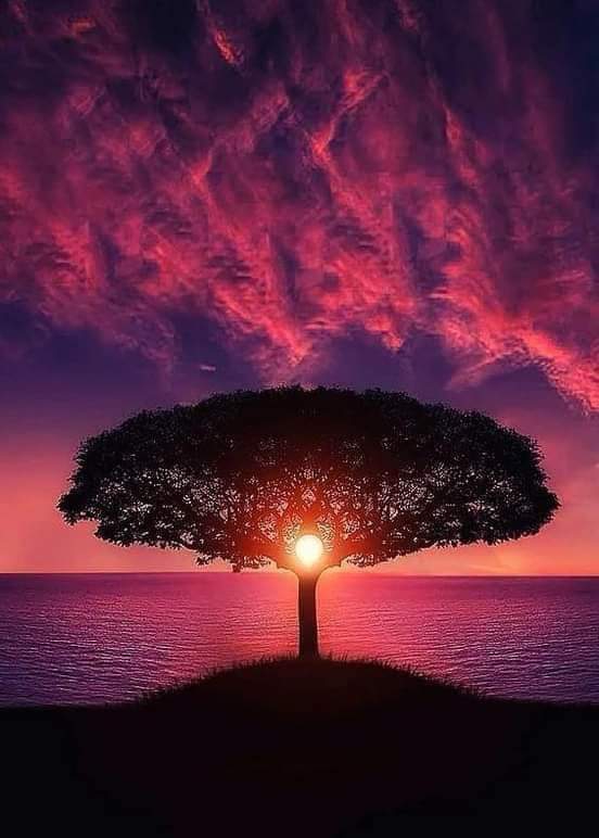 Beautiful Red Sunset