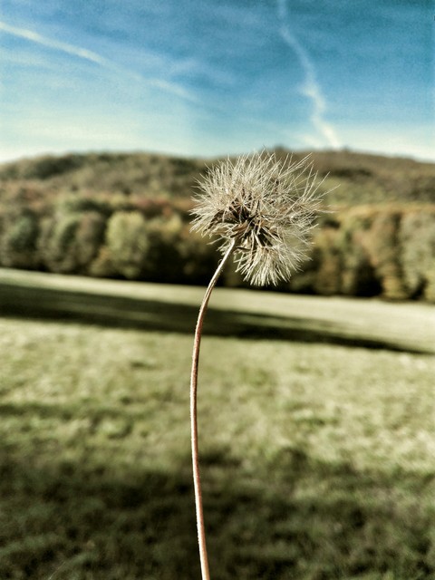 Autumn enjoy