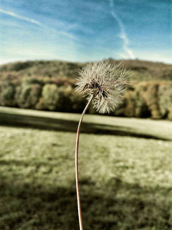 Autumn enjoy