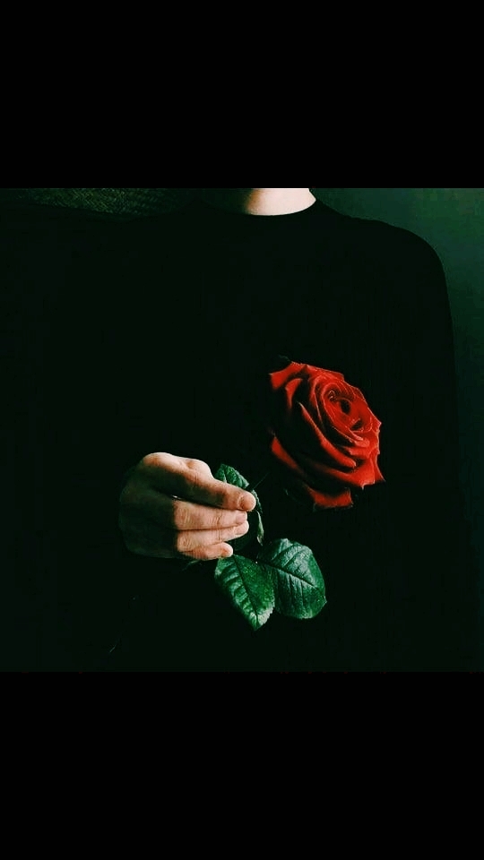 #роза #roses #обои #wallpaper