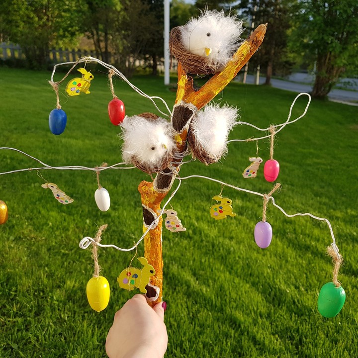 tree