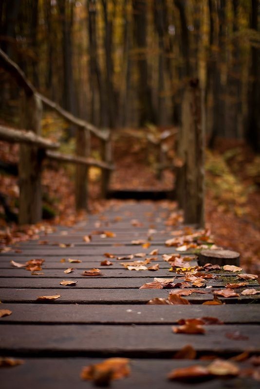 Autumn