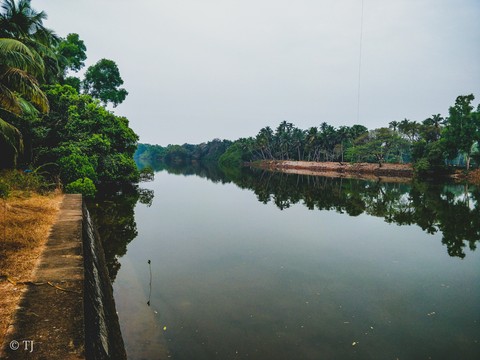 Shambhavi River