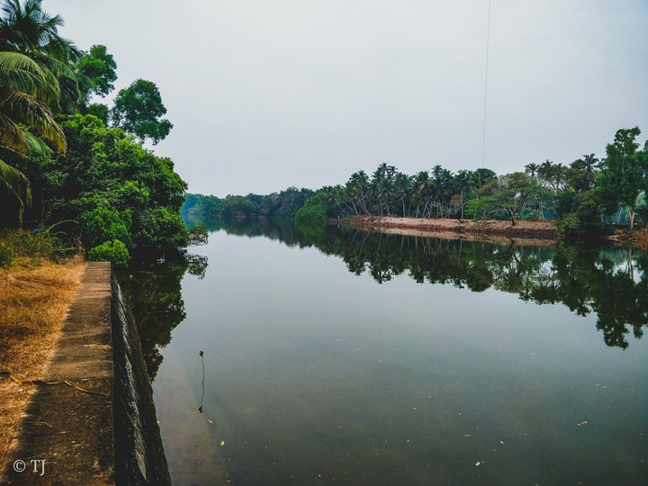 Shambhavi River