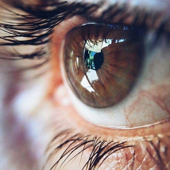 سوريا