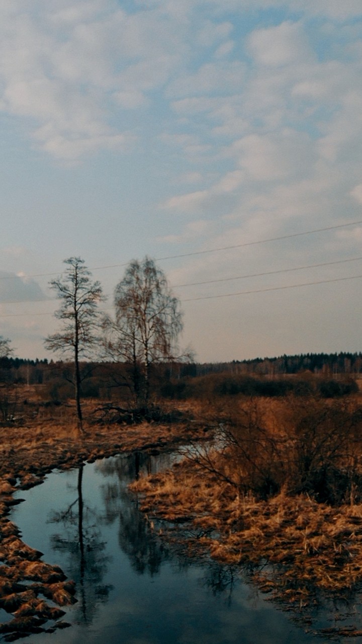 Russian nature