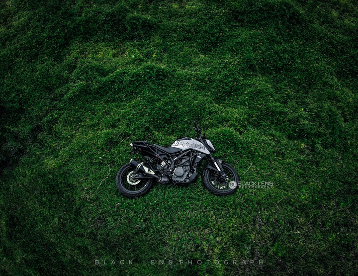 for all green lovers
