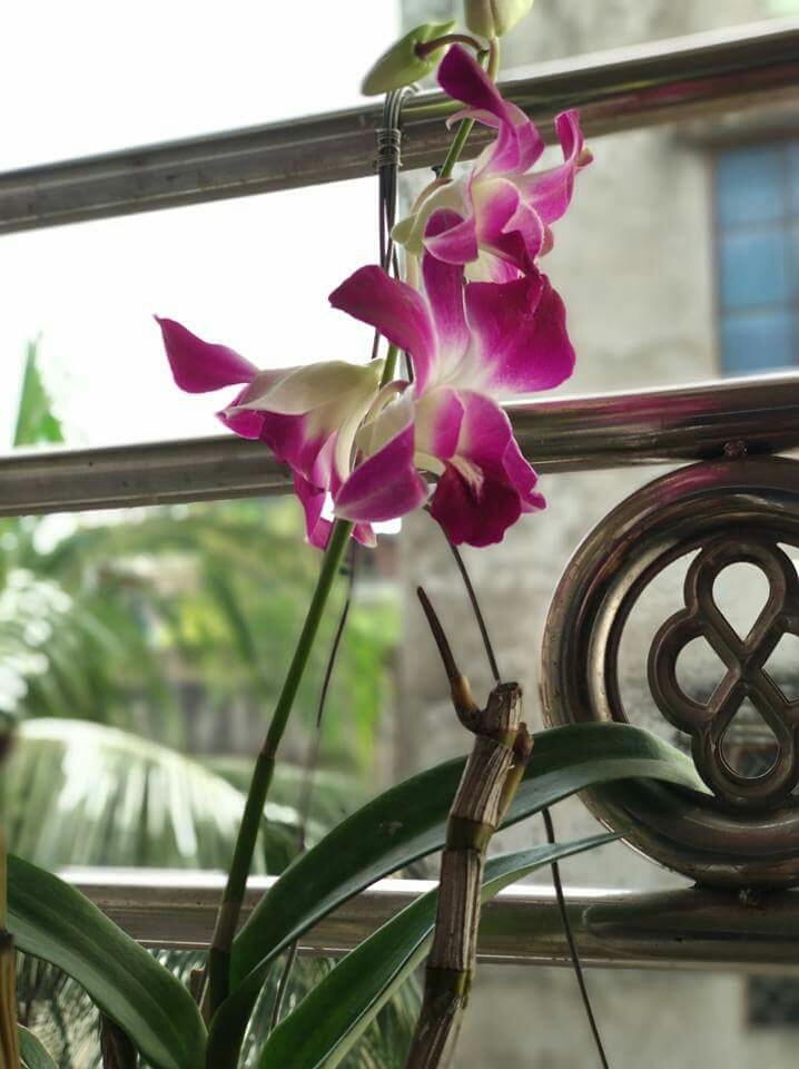 beauti of nature