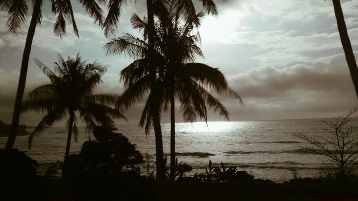 trees