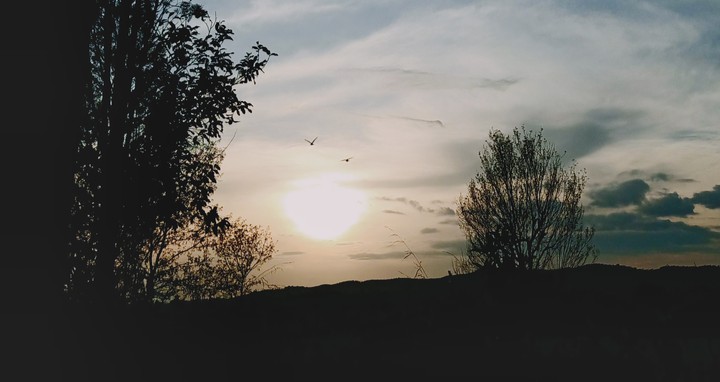 Evening