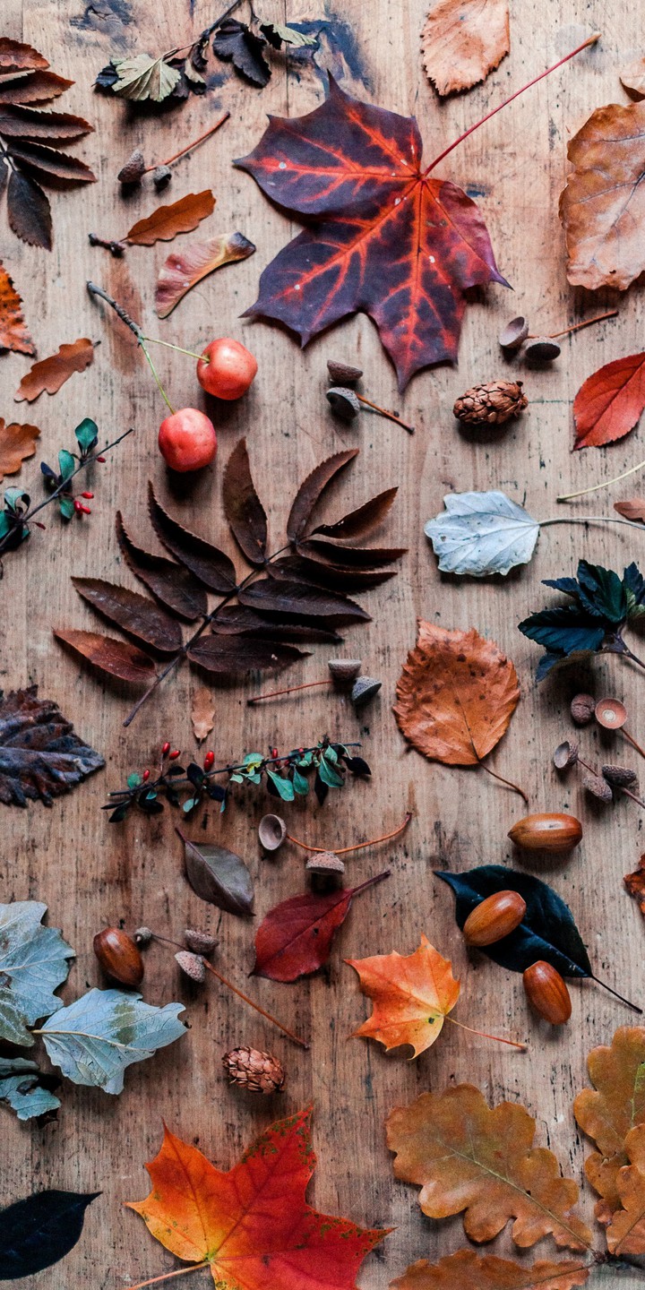 autumn