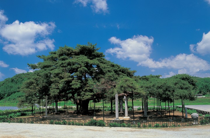 풍경