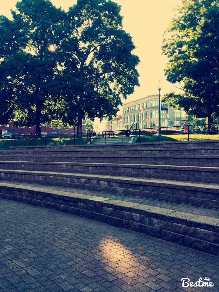 a day at the park