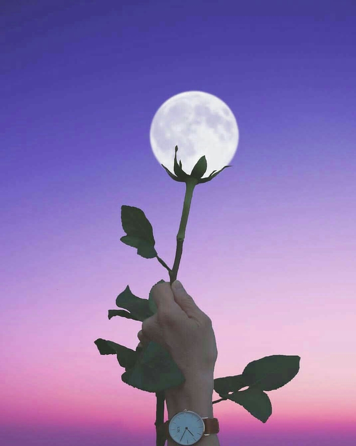moonrose