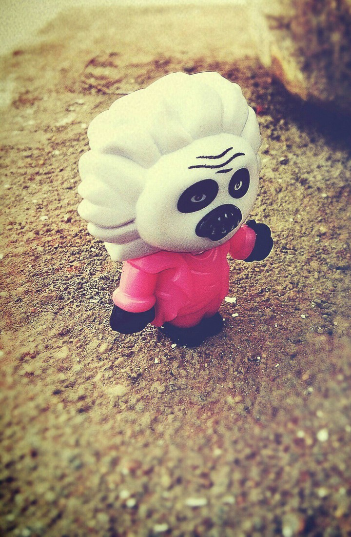 panda