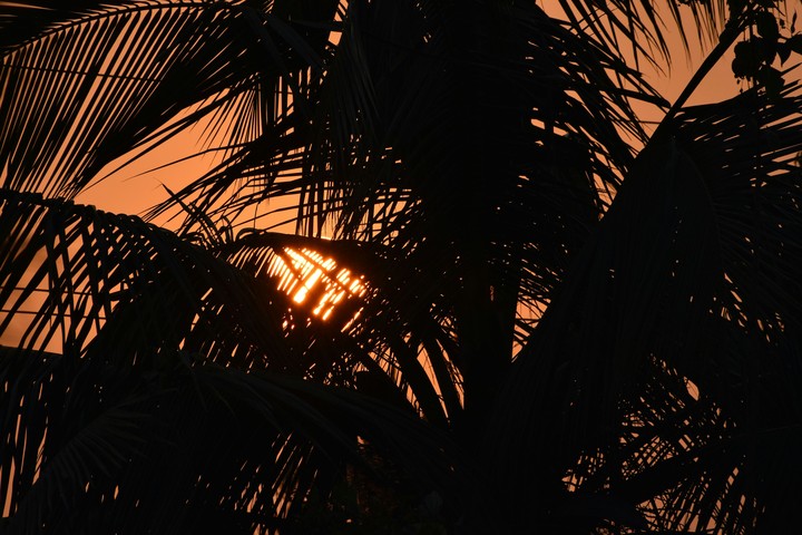 sunset