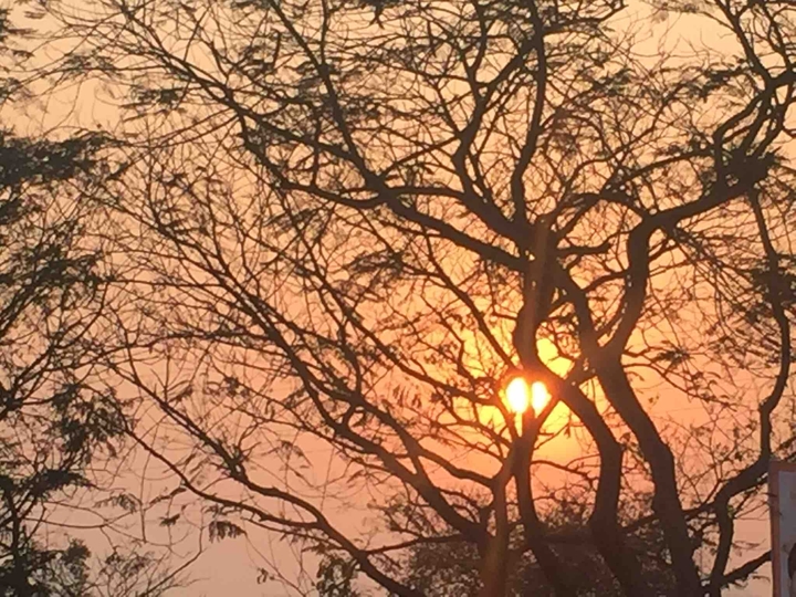 Evening
