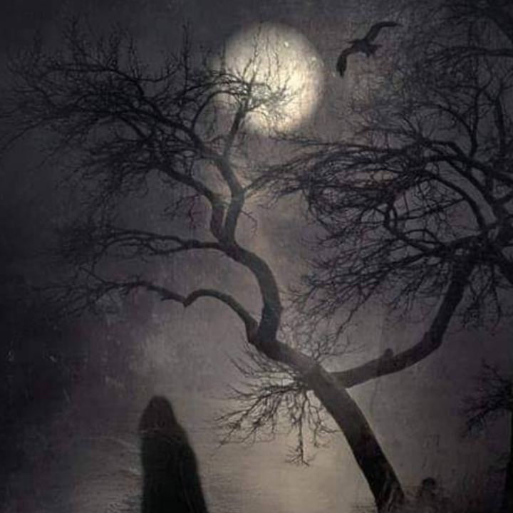 dark