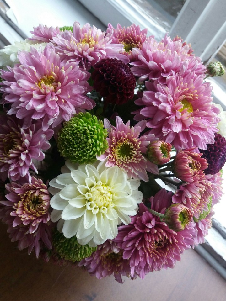 Lovely flowers.