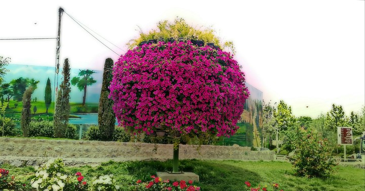 iran - esfahan