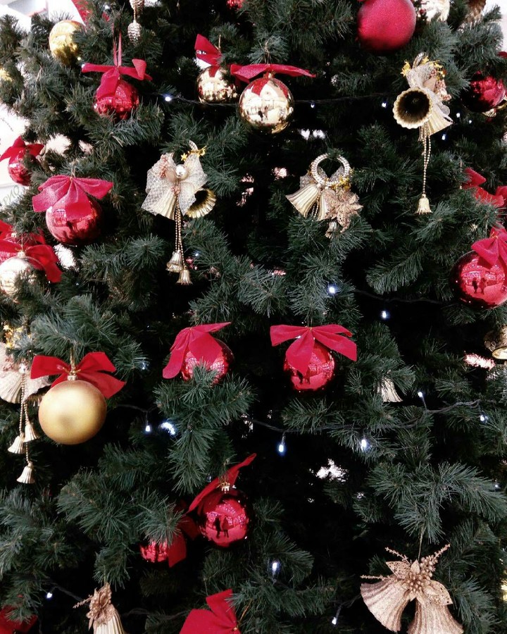 christmas_tree