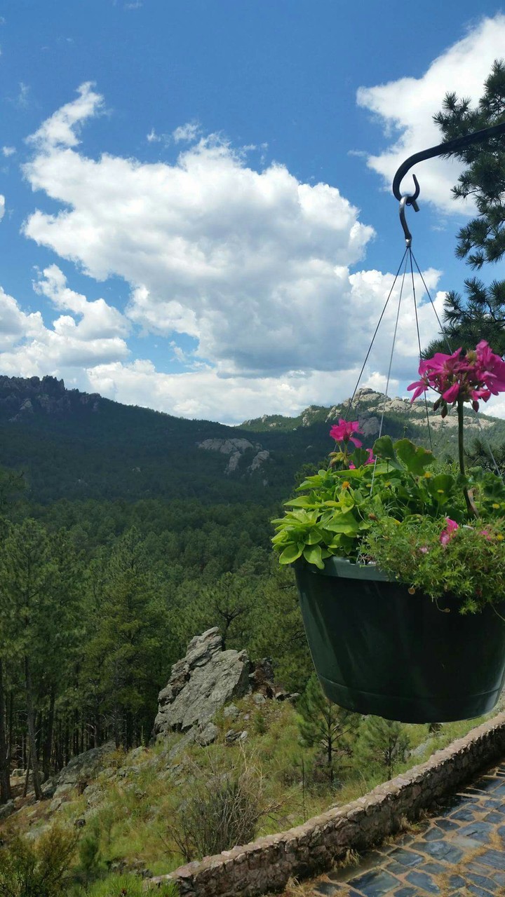 South Dekota