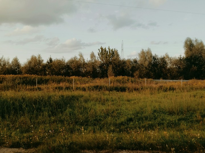 dolina