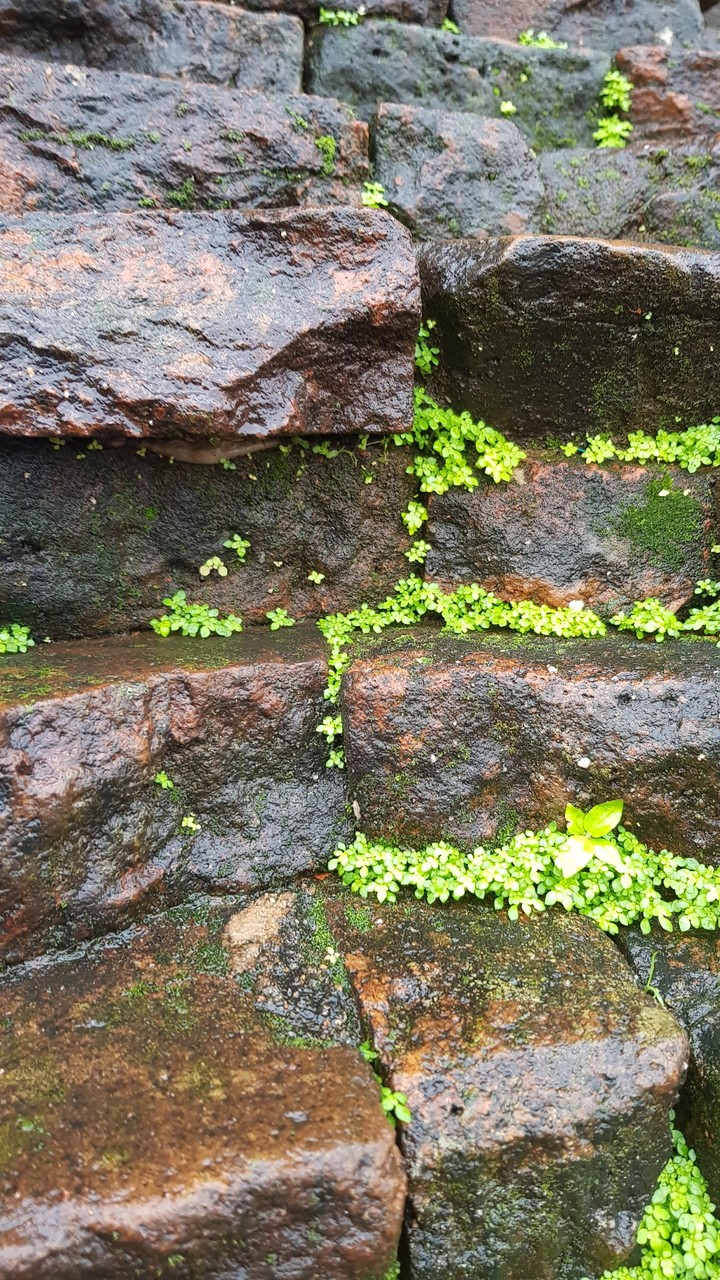 Circa-12th-century Champa tower bricks