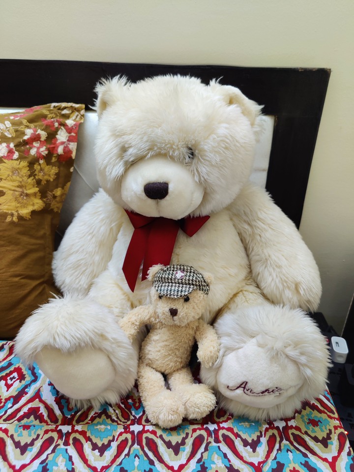 teddy