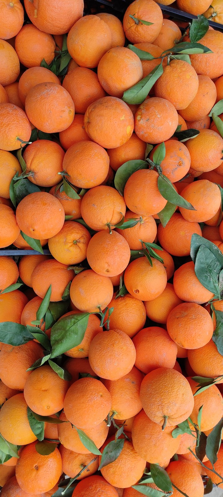only orange