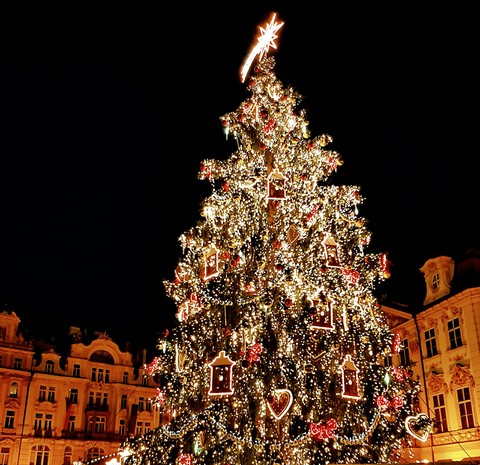 árbol navidad