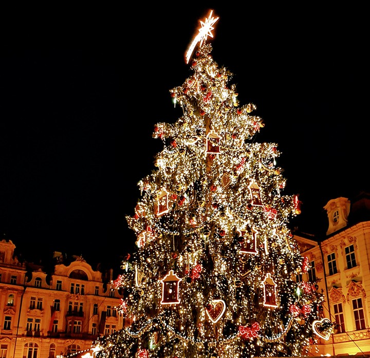 árbol navidad