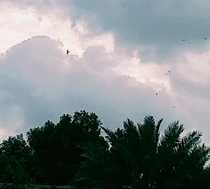 MY PHOTOGRAPHY