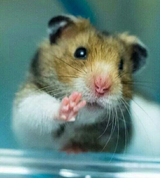 Oh, Hi!