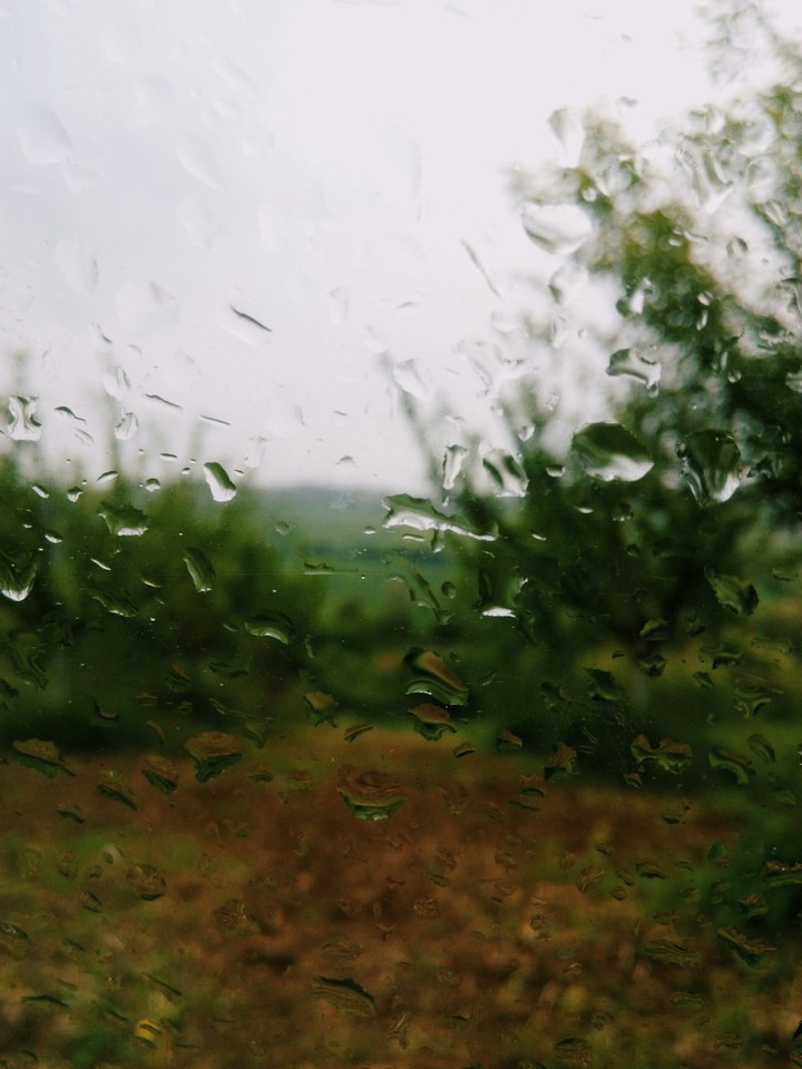 Rain Drops