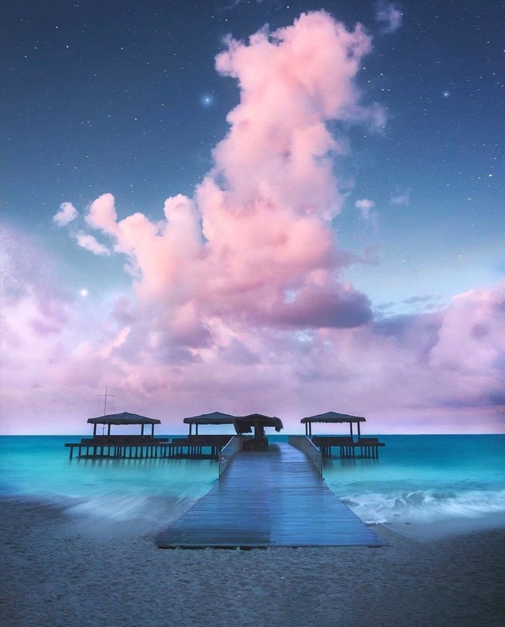 Dream