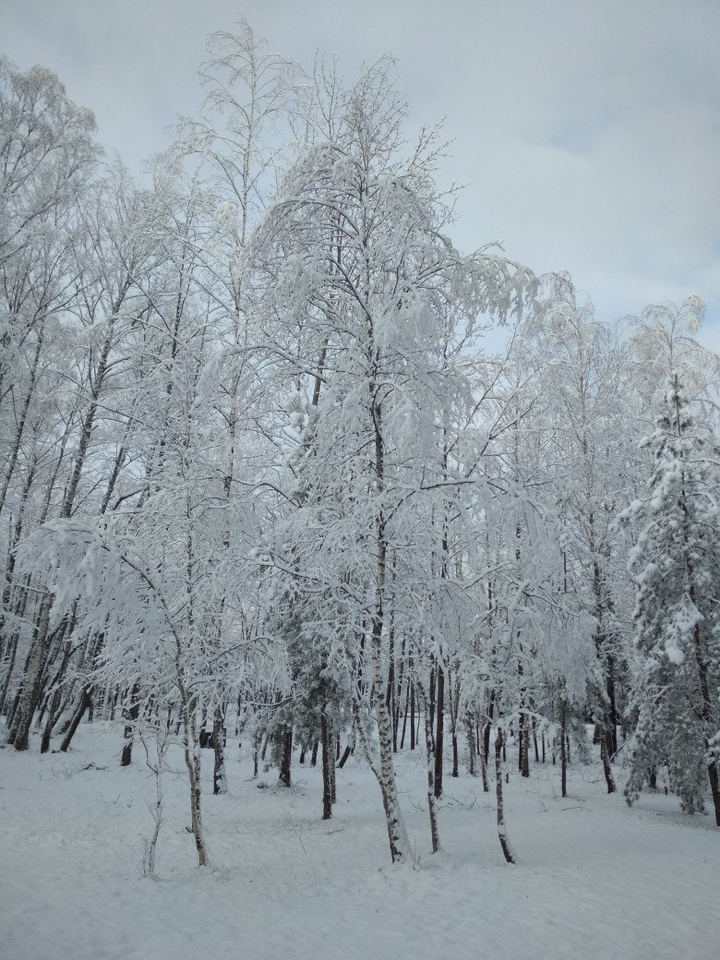 Winter