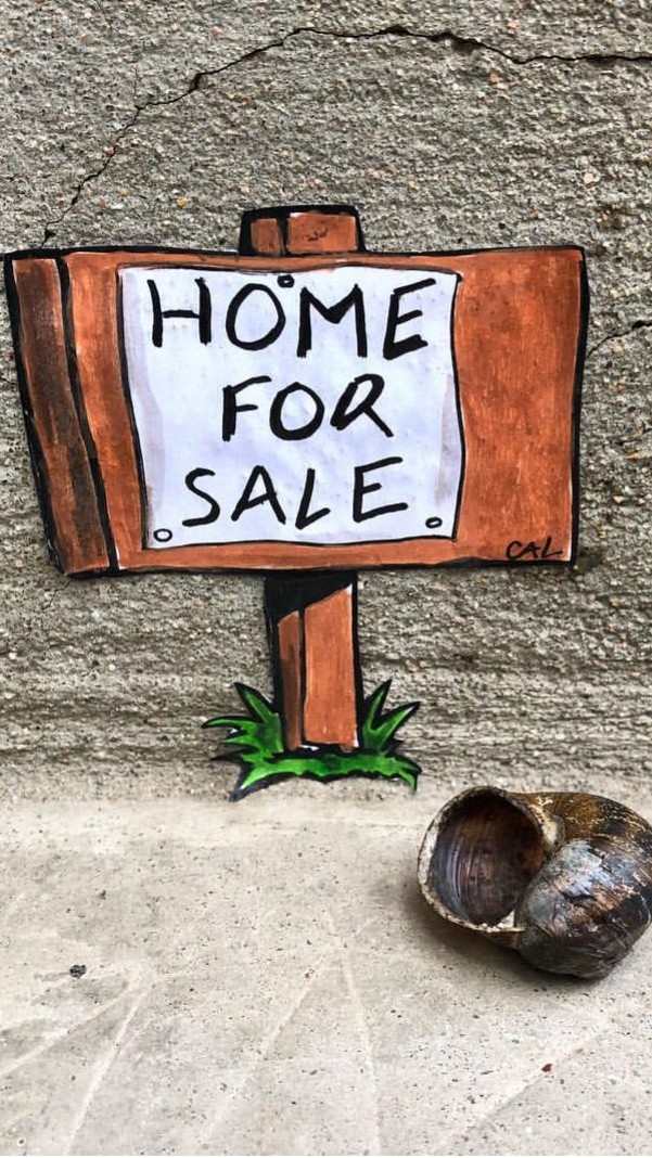 Home for sale