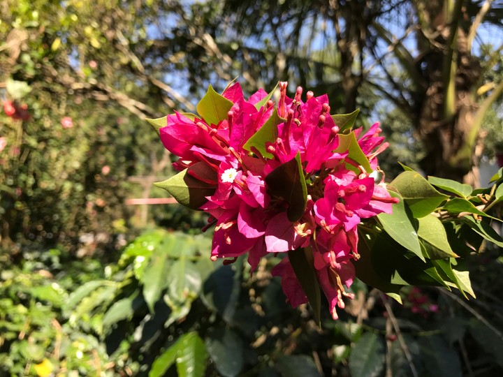 Nature at perfect light