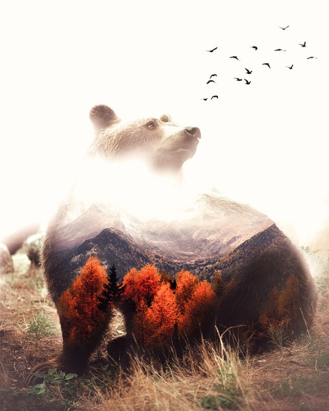 Double exposure art