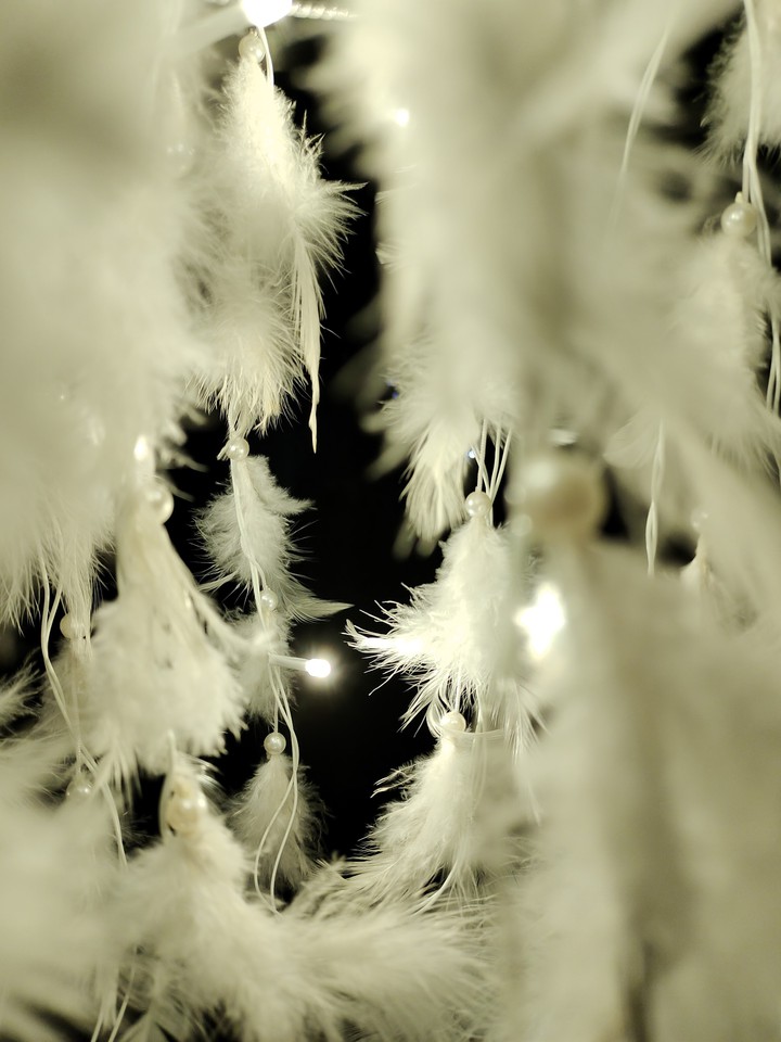 Dreamcatcher