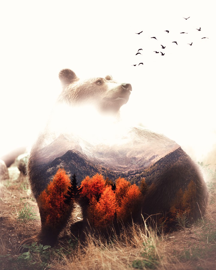 Double exposure art