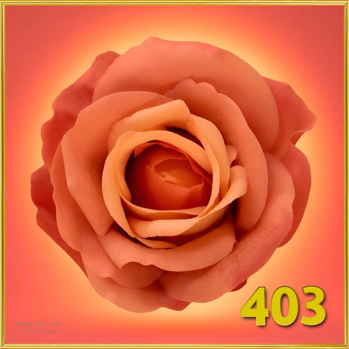 403