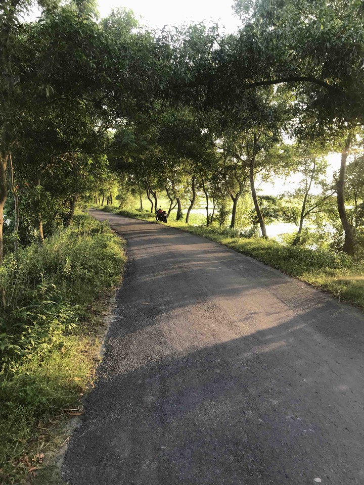 The Road