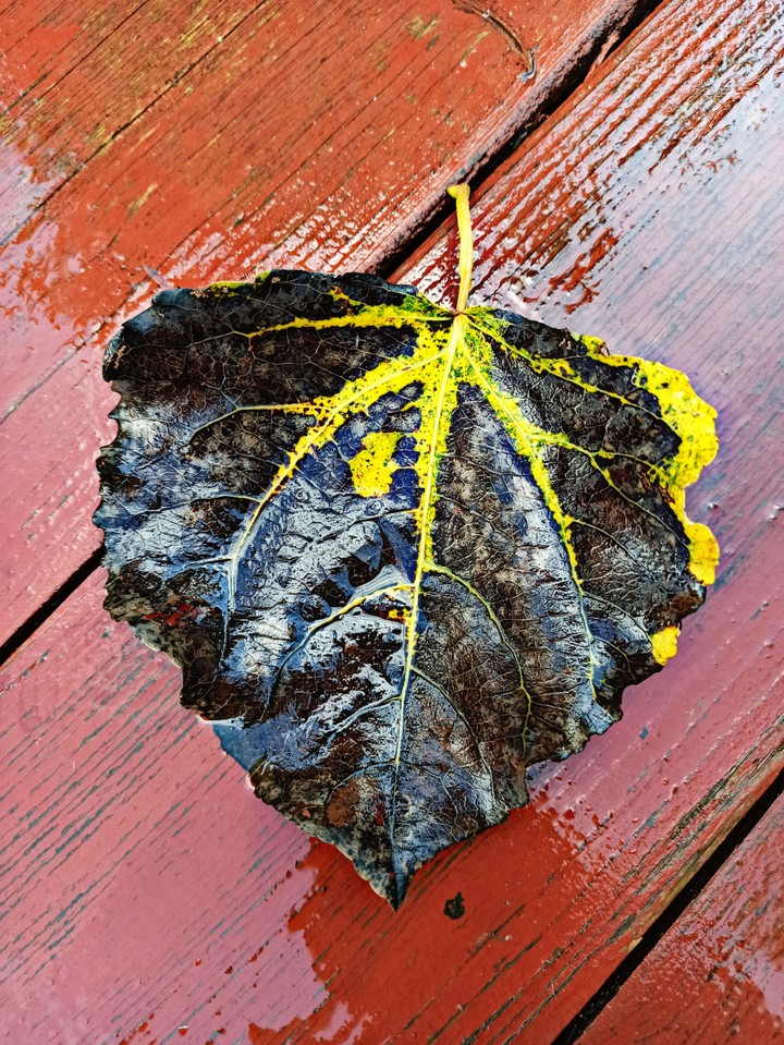 September