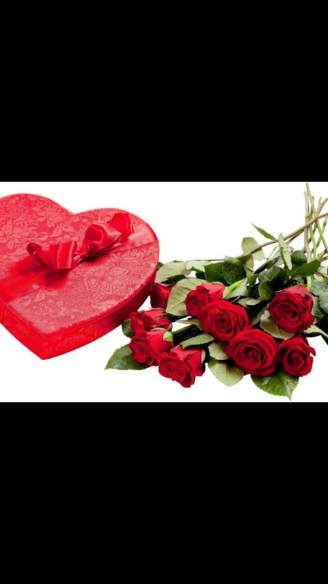 Propose