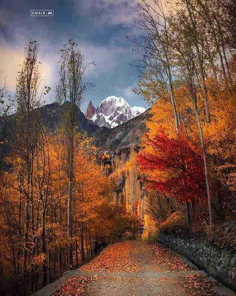 beautiful way