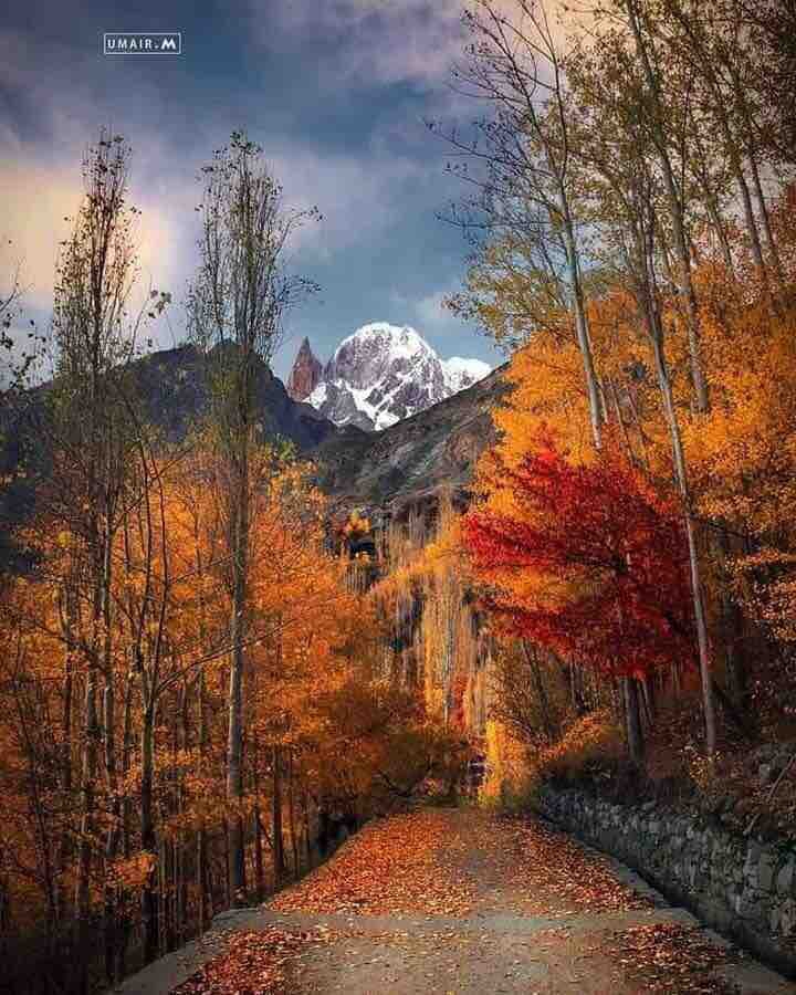 beautiful way
